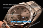 Rolex Datejust Oyster Perpetual Swiss ETA 2836 Automatic Steel Case Roman Numeral Markers With Brown Dial Steel Bracelet (BP)