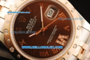 Rolex Datejust Swiss ETA 2836 Automatic Movement Steel Case with Brown Dial and Diamond Bezel-Two Tone Strap