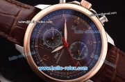 IWC Portuguese Automatic Steel Case with Rose Gold Bezel and Brown Dial-Brown Leather Strap