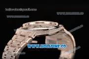 Audemars Piguet Royal Oak 33MM Miyota Quartz Diamonds/Steel Case with White Dial Stick Markers and Diamonds Bezel (EF)