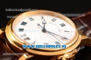 Breguet Marine Big Date Clone Breguet Automatic Yellow Gold Case with Blue Dial and Brown Leather Strap