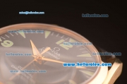 Omega Railmaster Automatic ETA Coating Gold Case with Black Dial and Black Leather Strap