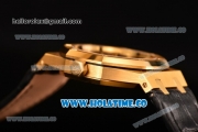 Audemars Piguet Royal Oak 39MM Miyota 9015 Automatic Yellow Gold Case with Blue Dial and Stick Markers (BP)