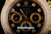 Rolex Daytona Automatic Black Dial with Diamond Bezel