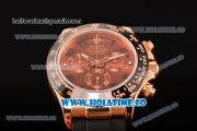 Rolex Daytona Chrono Swiss Valjoux 7750 Automatic Rose Gold Case with PVD Bezel Stick Markers and Brown Dial (BP)