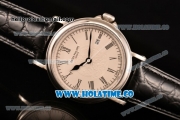 Patek Philippe Calatrava Miyota Quartz Steel Case with White Dial and Black Roman Numeral Markers