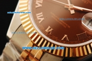 Rolex Datejust II Oyster Perpetual Automatic Movement Steel Case with Brown Dial and Rose Gold Bezel-Two Tone Strap