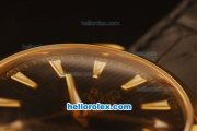 Omega Seamaster Co-Axial Automatic Yellow Gold Case with Black Dial and Black Leather Strap - ETA Coating