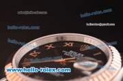 Rolex Datejust 2813 Automatic Movement Rose Gold Bezel with Rose Gold Roman Marking and Black Dial