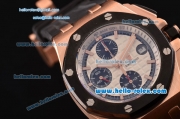 Audemars Piguet Royal Oak Offshore Chronograph Swiss Valjoux 7750-SHG Automatic Rose Gold Case with PVD Bezel and White Dial