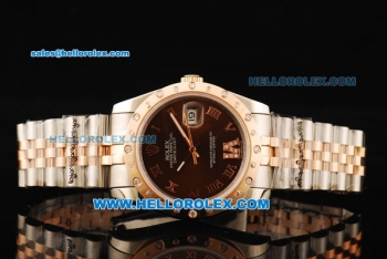 Rolex Datejust Swiss ETA 2836 Automatic Movement Steel Case with Brown Dial and Diamond Bezel-Two Tone Strap