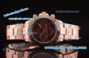 Rolex Daytona Automatic Full Rose Gold with PVD Bezel and Brown Dial