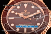 Rolex Yachtmaster 40/Yachtmaster II Asia 2813 Automatic Steel Case with Brown Dial and Brown Rubber Strap - White Markers