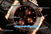 Rolex Daytona II Asia 3836 Automatic Rose Gold Case with Black Bezel and White Stick Markers