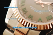 Rolex Datejust Automatic Movement Steel Case with Rose Gold Bezel and Two Tone Strap